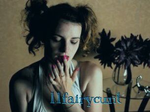 11fairycunt