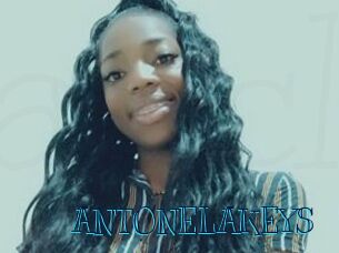 ANTONELAKEYS