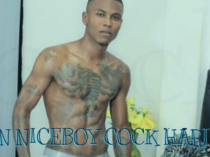 ARON_NICEBOY_COCK_HARD