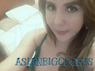 ASIAN_BIGCOCK_TS