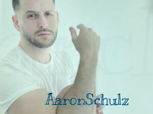 AaronSchulz