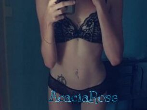 AcaciaRose