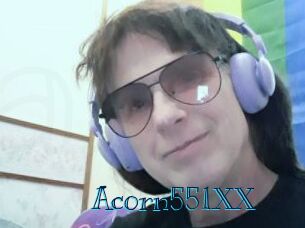 Acorn551XX