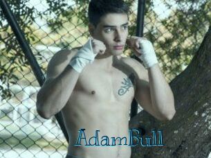 AdamBull