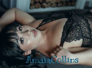 AmaiaCollins Archive DVD BIZ