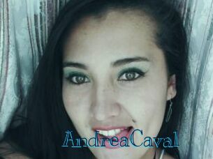 AndreaCaval Archive DVD BIZ