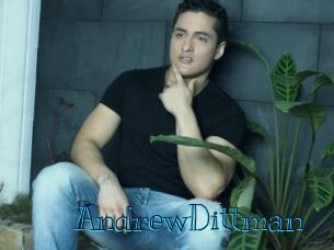 AndrewDittman Archive DVD BIZ