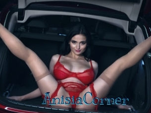 AnisiaCorner