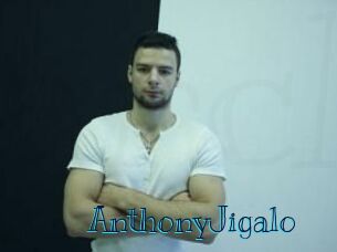 AnthonyJigalo