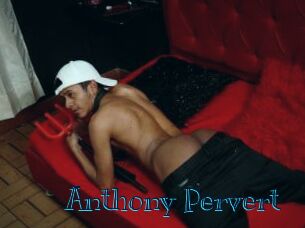 Anthony_Pervert