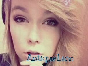AntiqueLion Archive DVD BIZ