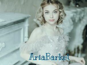 AriaBarket