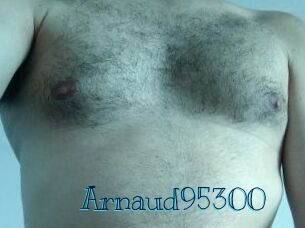 Arnaud95300