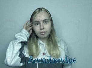 Accadavidge