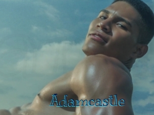 adamcastle Archive DVD BIZ