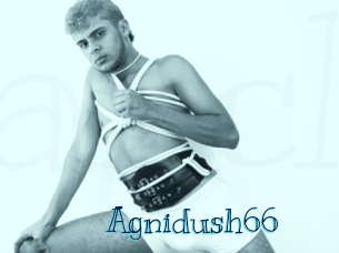 Agnidush66