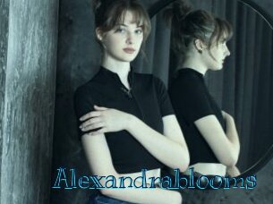 Alexandrablooms