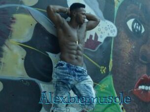 Alexbigmuscle