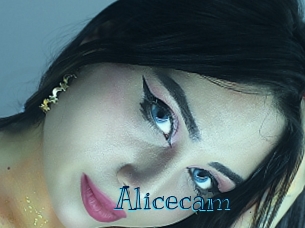 Alicecam