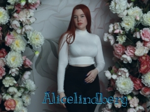 Alicelindberg