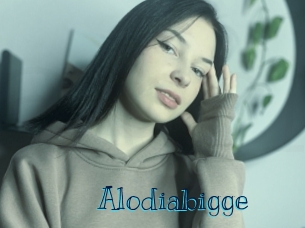 Alodiabigge