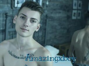 Amazingxboy