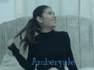 amberyale Archive DVD BIZ