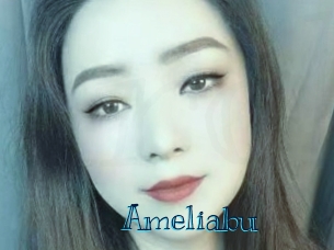 ameliabu Archive DVD BIZ