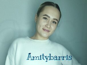 Amitybarris