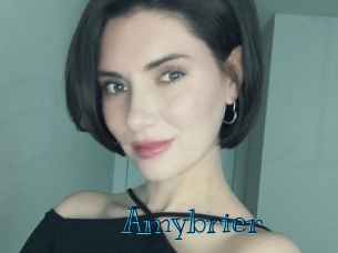 amybrier Archive DVD BIZ