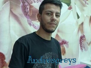 Andresgreys