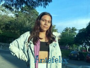 Aniefelix