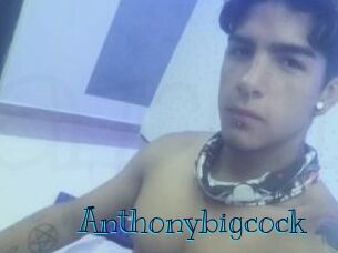 Anthonybigcock