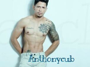 Anthonycub