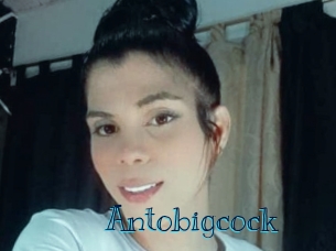 Antobigcock