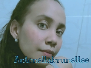 Antonellabrunettee