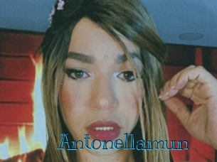 Antonellamun