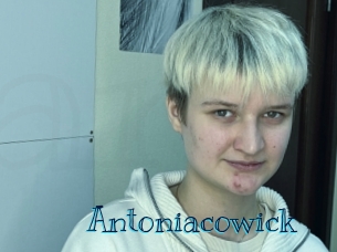 Antoniacowick