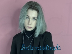 Antoniafinch