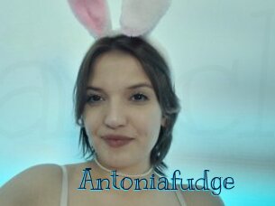 Antoniafudge