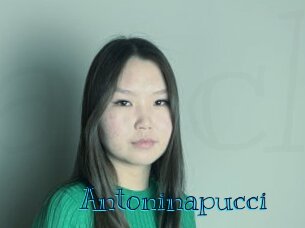 Antoninapucci