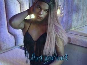 Ari_monet