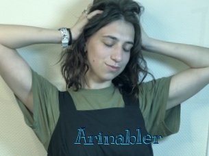 arinabler Archive DVD BIZ