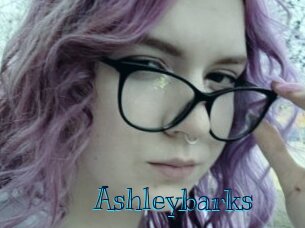 Ashleybarks