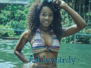 Ashleybirdy