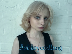 Ashleycodling