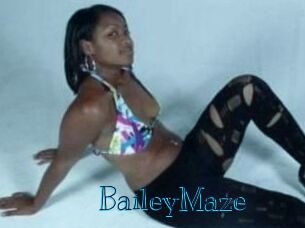 Bailey_Maze