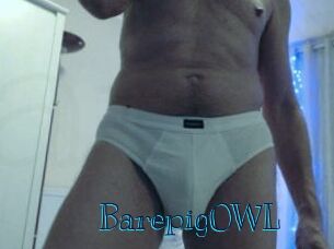 BarepigOWL Archive DVD BIZ