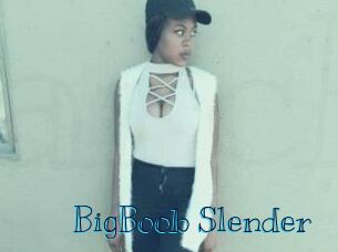 BigBoob_Slender Archive DVD BIZ