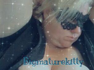Bigmaturekitty